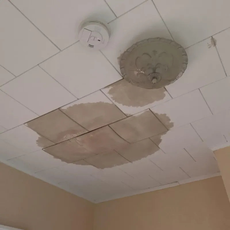 Ceiling Water Damage Repair in Huron, SD